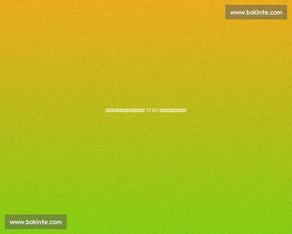 韩国奥运冠军性侵案终审：教练获刑 10 年 6 个月，揭露体坛权力黑幕