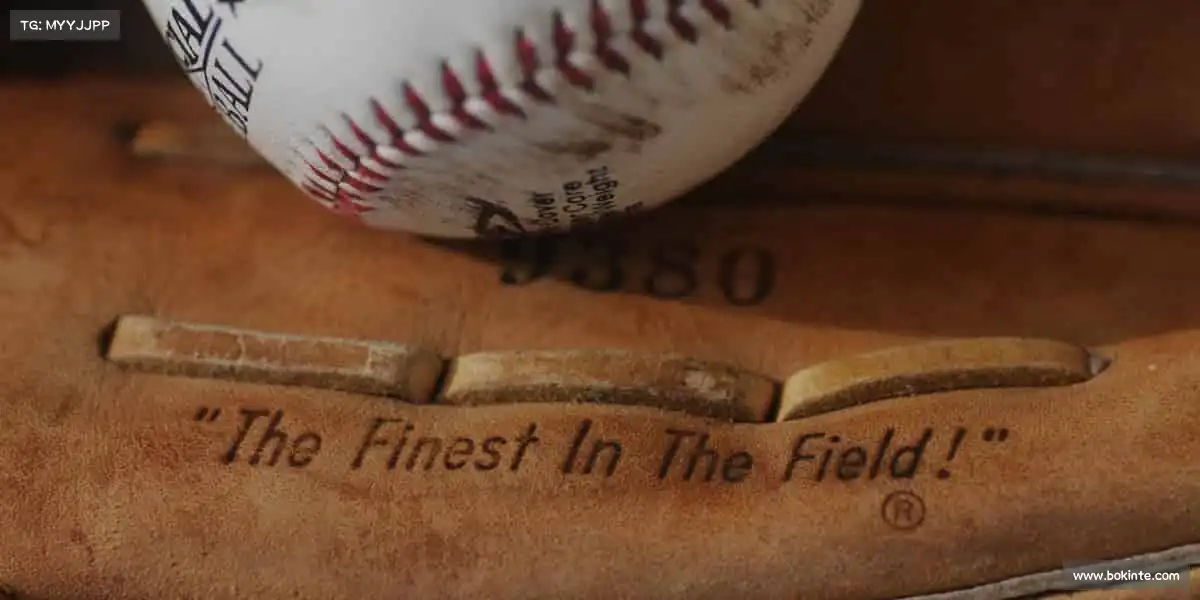 为什么选择我们